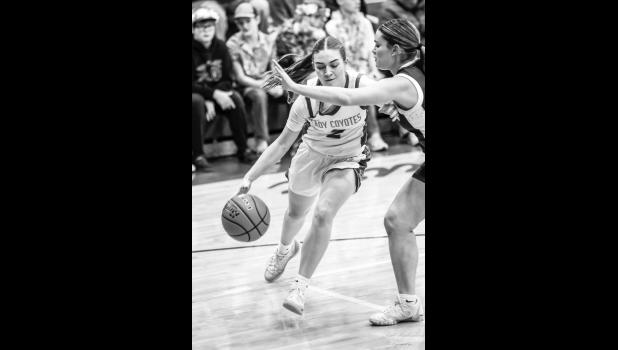 Aubrey Tucker defends the ball. Photo Barb Hockenbary Photography