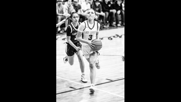 Mallory Venard flies toward the basket. Photo Barb Hockenbary Photography