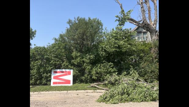 Are there any M’s Pat? ... The M from the Large motel sign at the Branding Iron is seen here leaned against the trees along the street by the Kirkley residence. At least one of the other letters from the sign did not survive its wind driven relocation. Courtesy Photo