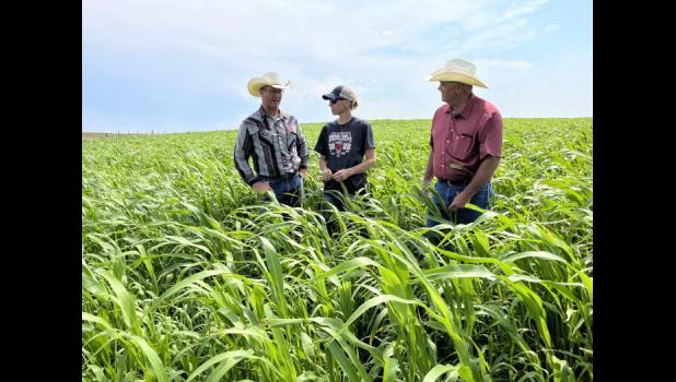 Shad and Jenna Finn talking with Ryan Willert, a Resource Unit Conservationist with NRCS SD, while standing in cover crops. Photo by Nina Pekron of NRCS SD.